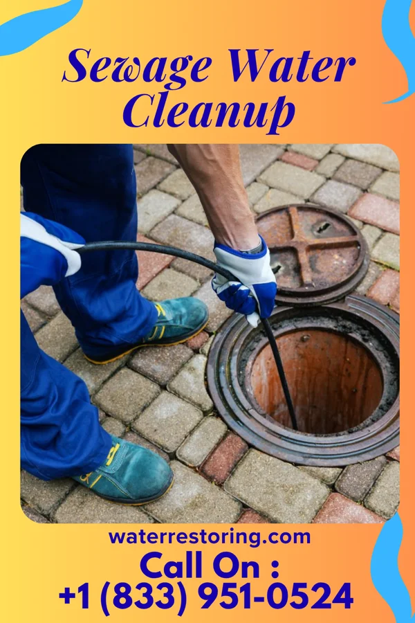 Sewage Water Cleanup in Buffalo Center, IA